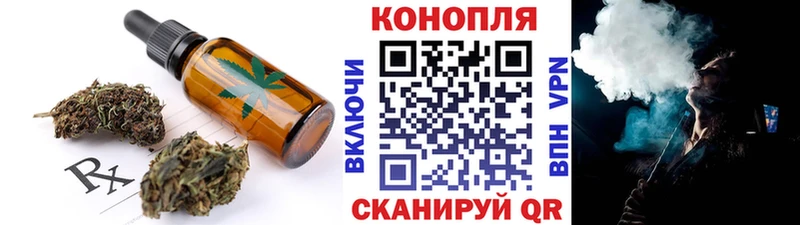 OMG ТОР  Серов  Canna-Cookies конопля 
