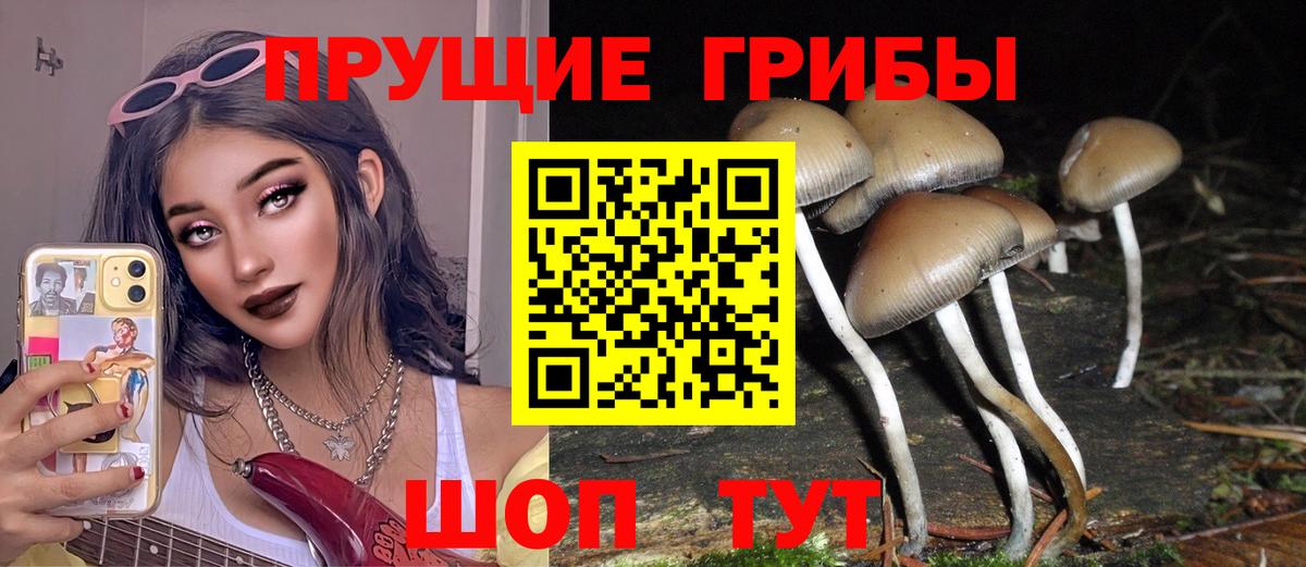 Серов  Псилоцибиновые грибы мухоморы  Вход с VPN 